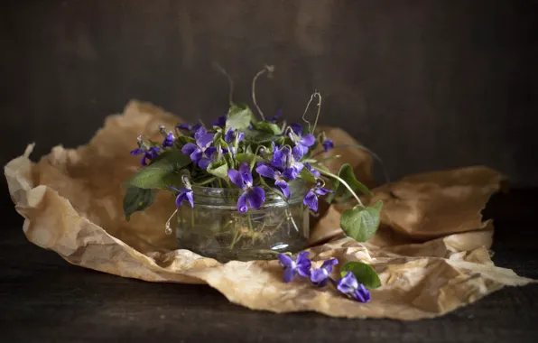 Leaves, drops, flowers, paper, Bank, still life, Pansy, field