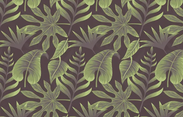 Picture background, texture, background, Leaves, Tropical, Plant