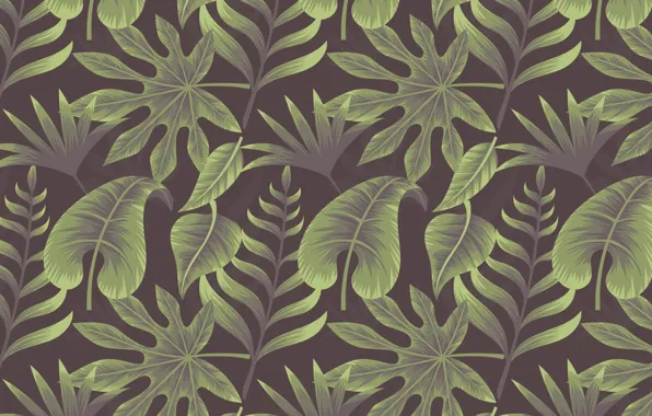 Picture background, texture, background, leaves, plant, tropical