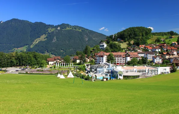 Picture forest, trees, landscape, mountains, nature, home, Switzerland, the hotel