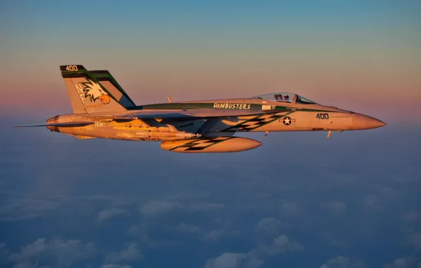 Picture flight, fighter, pilot, Super Hornet, F-18, deck
