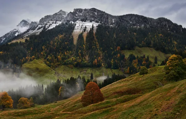 Picture autumn, forest, mountains, tops, slope