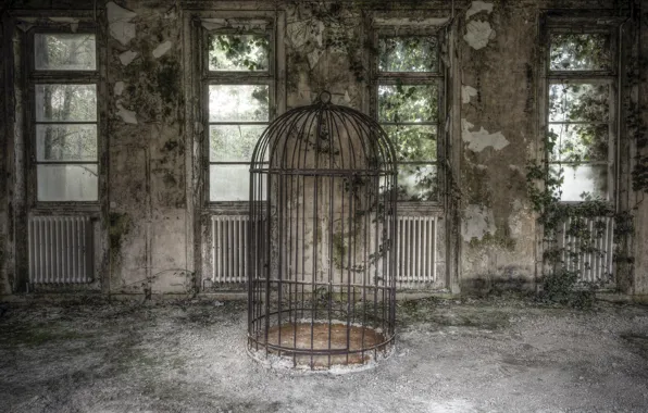 Background, room, cell