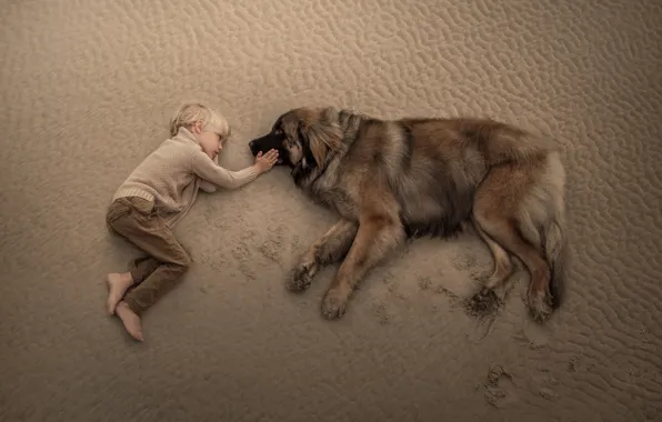 Sand, dog, boy, friendship, friends