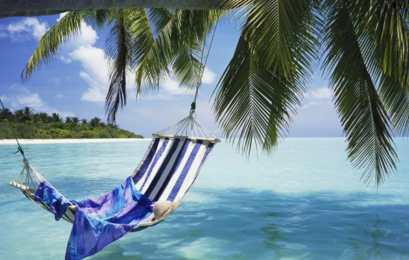 Palm trees, Sea, hammock