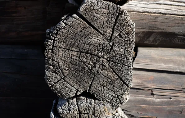 Cracked, tree, hut, timber