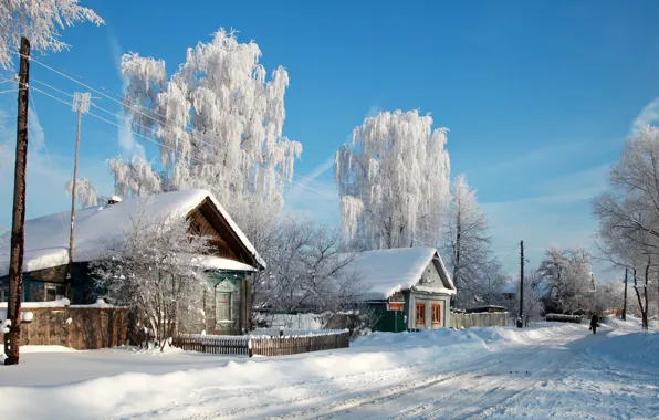 Picture snow, trees, nature, the city, photo, home, village, Russia