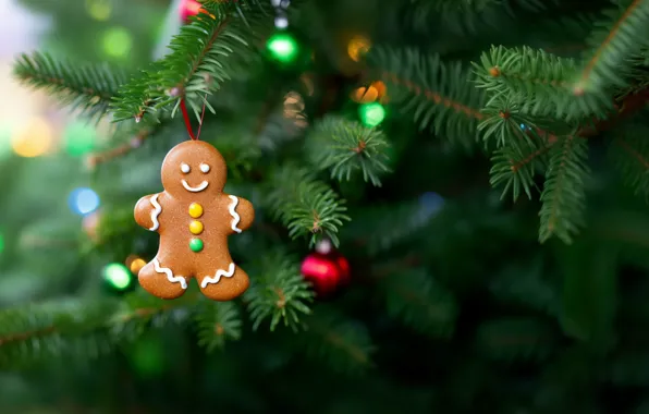 Branches, toy, cookies, Christmas, man, New year, needles, cookie