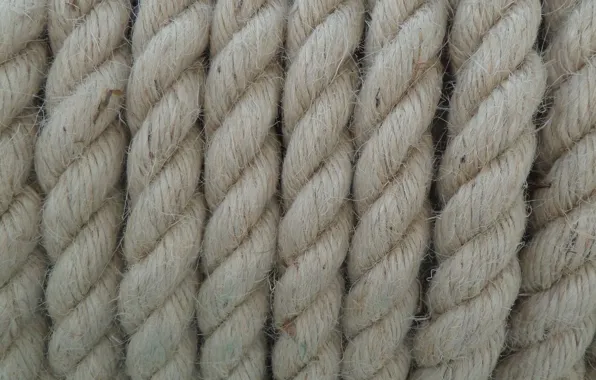 Grey, background, texture, rope, ropes, fiber, jute