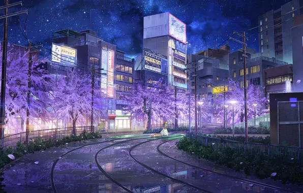 Picture cat, girl, trees, night, the city, relise