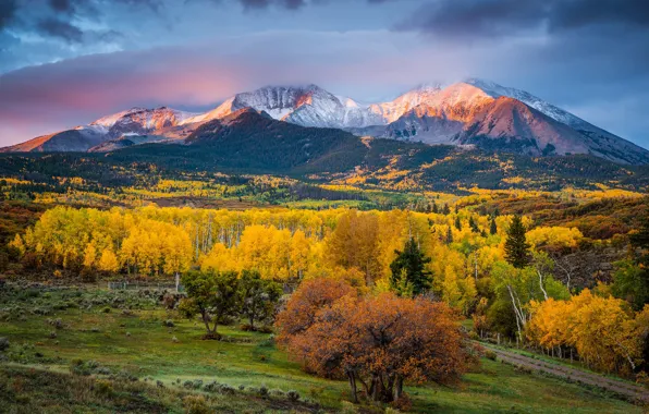 Autumn, light, trees, mountains, paint, morning, Colorado, USA