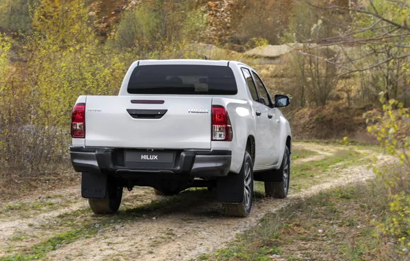 Picture white, vegetation, Toyota, body, pickup, Hilux, Special Edition, tail lights