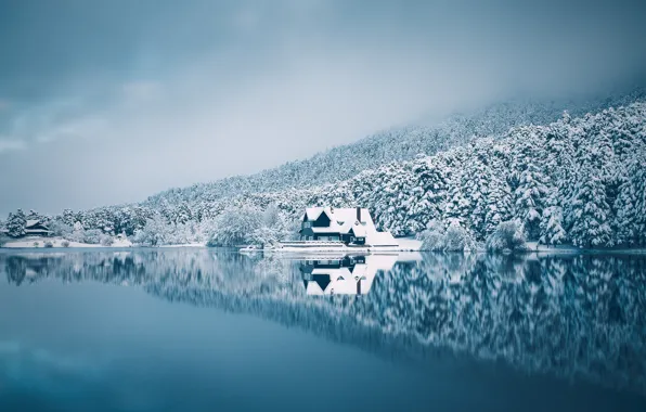 Picture winter, forest, the sky, snow, lake, house, reflection
