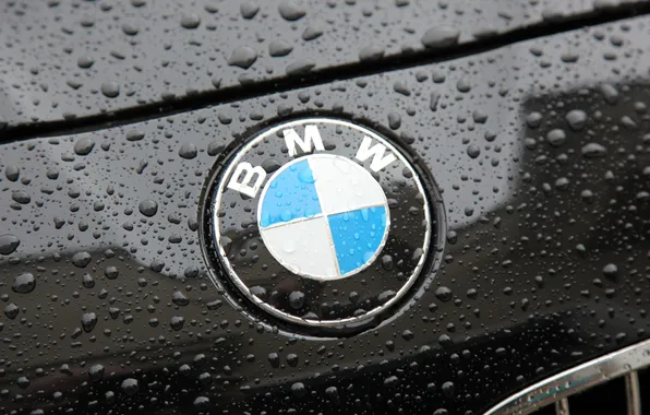 Macro, Drops, Photo, BMW, BMW, The hood, Emblem