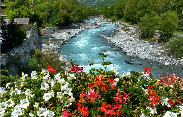 Flowers, river, direction