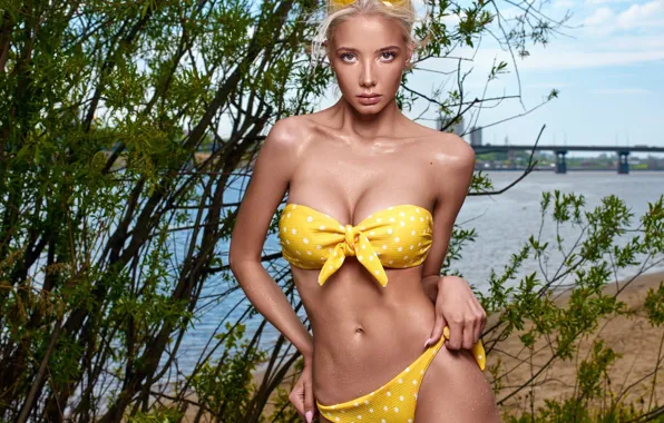 Sand, beach, swimsuit, look, landscape, branches, pose, river