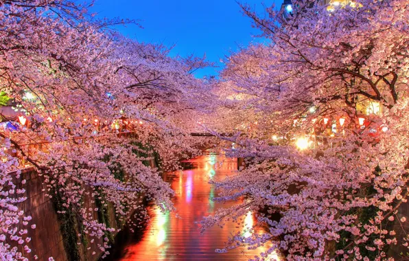 Picture lights, Sakura, channel