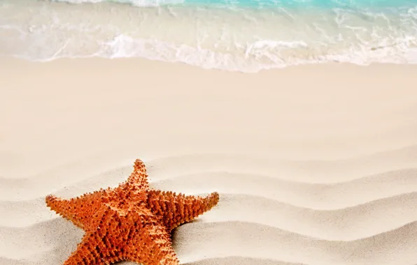 Picture sand, beach, summer, Sea, beach, sea, nature, sand