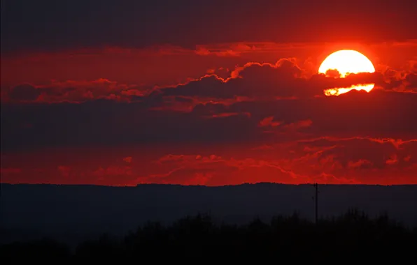 Picture the sky, the sun, trees, sunset, clouds, horizon