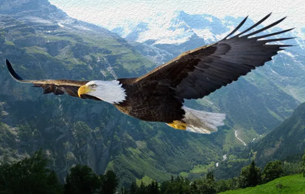 Mountains, paint, Eagle