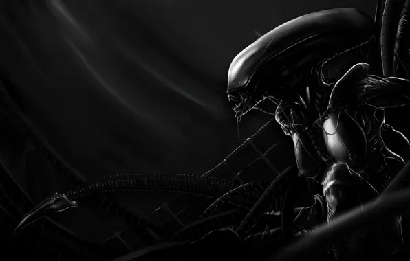 Picture black and white, pose, silhouette, creature, alien mother