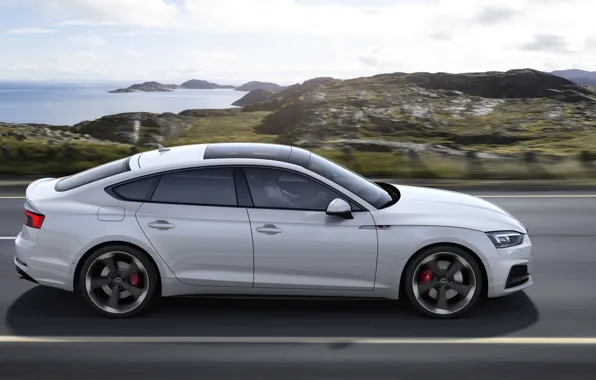 Audi, profile, Audi A5, 2019, S5 Sportback