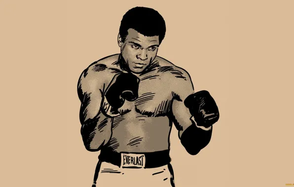 Sport, Boxing, boxer, Boxing gloves, professional boxer, muhammad ali