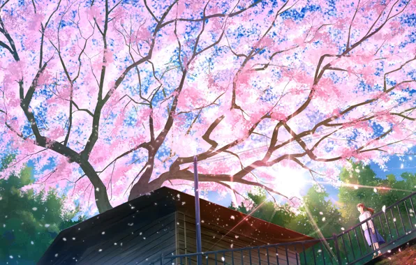 Roof, house, tree, spring, Sakura, the bridge