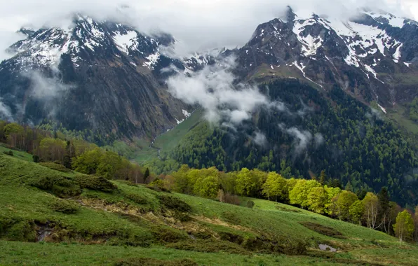 Forest, clouds, trees, mountains, slope, Spain, Catalonia, Arro
