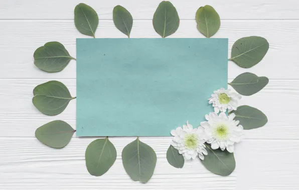 Paper, Leaves, Chrysanthemum