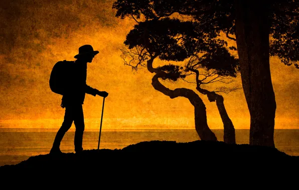 Trees, silhouette, tourist, The Hiker