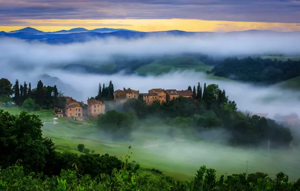Picture greens, the sun, trees, nature, fog, sunrise, morning, Italy