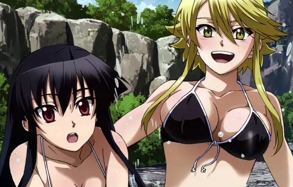 Bikini, Akame, Leon