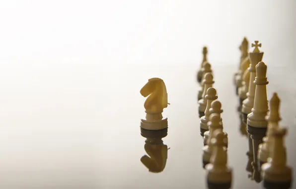 Macro, chess, figure