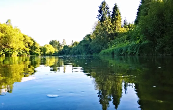 River, Carpathians, Stry