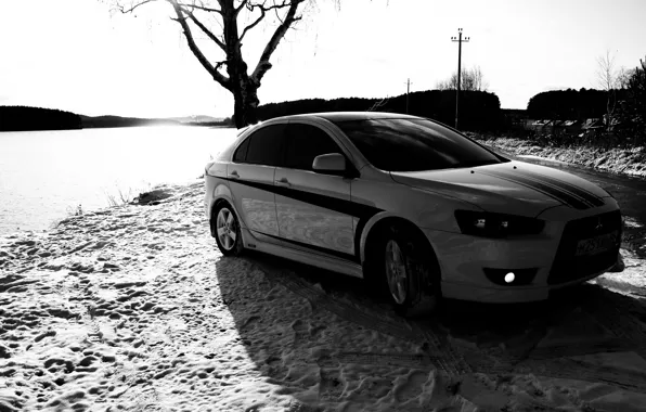 Picture black and white, Tree, Snow, Traces, Mitsubishi, Lancer X10
