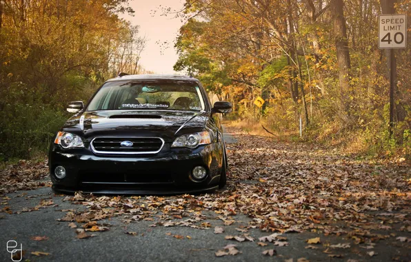 Autumn, Subaru, black, Subaru, stance, Outback