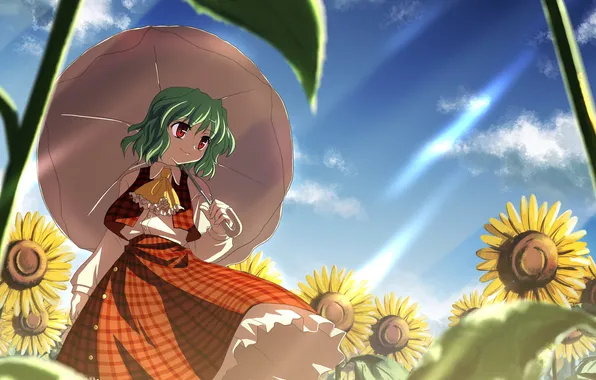 Picture the sky, girl, sunflowers, umbrella, Touhou