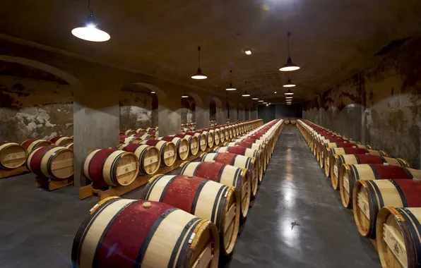Cave, Wine, Barrel, Margaux, Oak casks