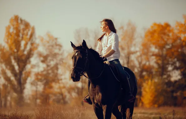 Field, autumn, forest, girl, light, nature, horse, horse