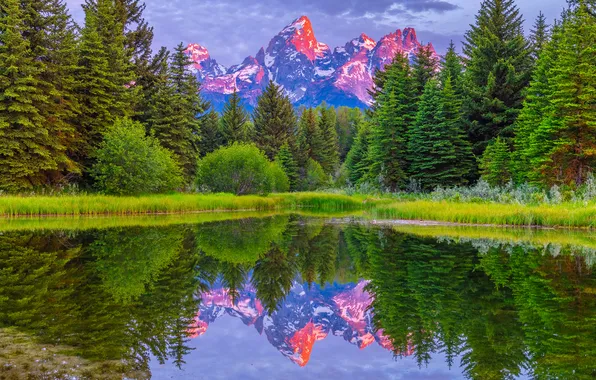 Forest, landscape, mountains, lake, USA, Grand Teton National Park