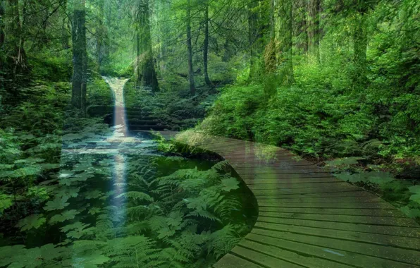 HD wallpaper: Deep In The Jungle Beautiful Waterfall In Tropical Green Forest  Desktop Wallpaper Hd 1920×1200 | Wallpaper Flare