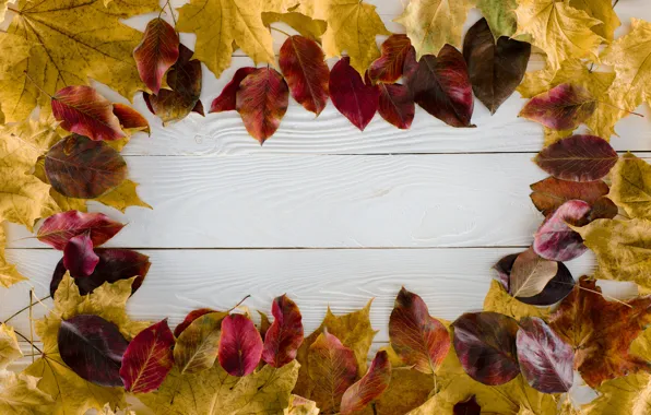 Autumn, leaves, trees, background, Board, colorful, wood, background