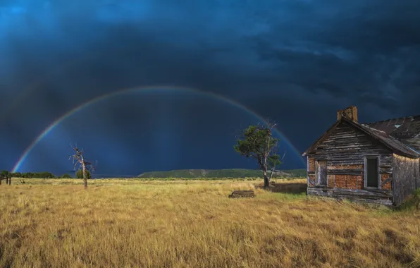 Field, summer, home, rainbow