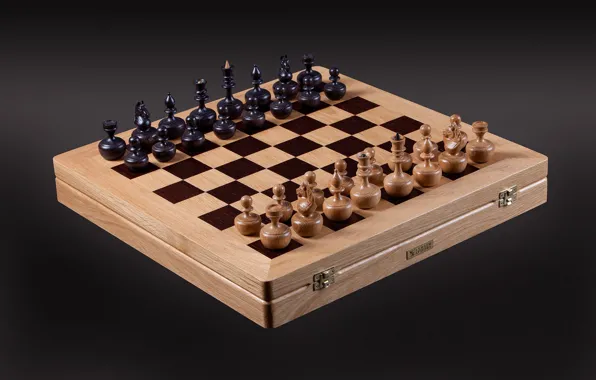 Picture sport, the game, chess, chess
