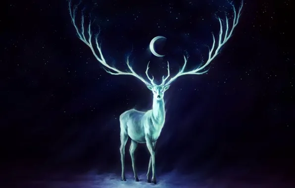 Picture wallpapers, painting, White Peacock