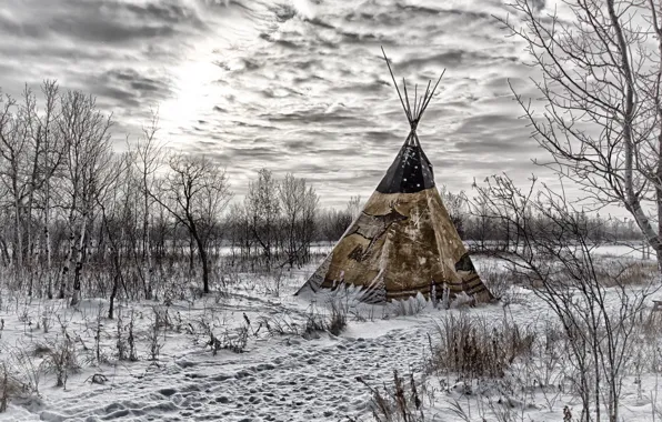 Picture sky, trees, winter, clouds, snow, tepee