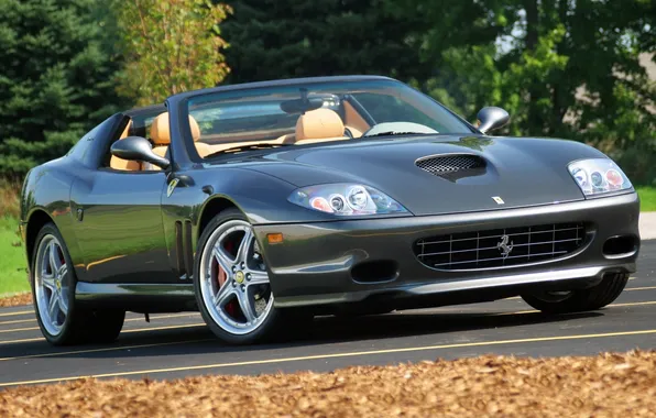 Road, trees, grey, Ferrari, supercar, Ferrari, the front, 575