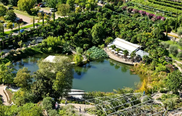 Picture trees, pond, Park, palm trees, garden, Italy, the view from the top, Trauttmansdorff Castle Gardens