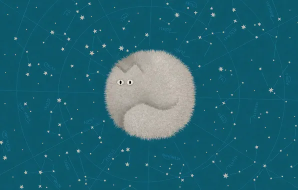 Cat, map, ball, VLADSTUDIO